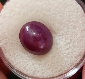 5.5 Carat Natural Star Ruby Oval Cabochon