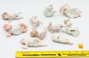 Vintage Bisque Porcelain Piano Baby Figurines - 11 Total