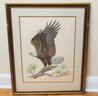 American Bald Eagle By Albert Earl Gilbert 1976 Signed