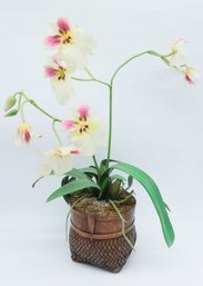 Artificial Long Stem Butterfly Orchid Flower Plants In Pot Fake Home Decor