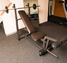 Weight Lifting Bench W/ Weights Included - Two 10 Pound Plate - Two 3 Pound Plates