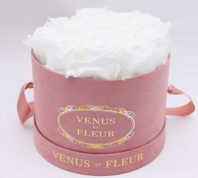 Venus Et Fleur Classic Square Rose Box