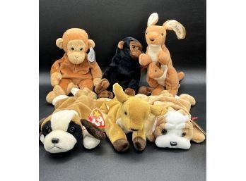 Beanie Baby Collection (Lot Of 6)