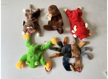 Beanie Baby Collection (Lot Of 5)
