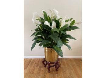 Large Artificial Plant W/ Wooden Stand, Florona Indoor White Peace Lily