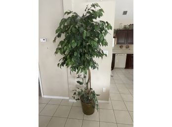 Ficus Tree In Planter, Faux