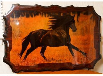 Vintage Horse Photograph On Rustic Wood  - Wall Art