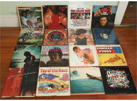 Lot Of 16 Assorted Vinyl Records