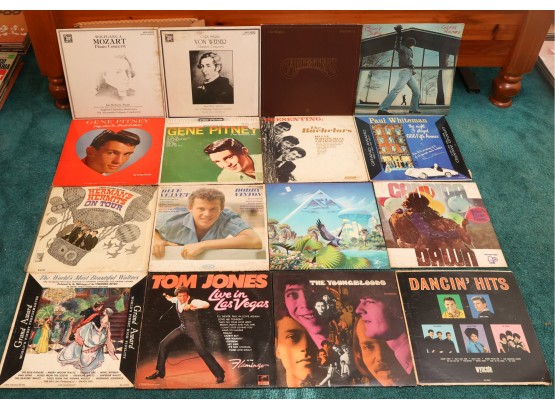 Lot Of 16 Assorted Albums