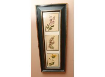 Vintage, Floral Wall Art, Cowslip, Sage, Rosemary