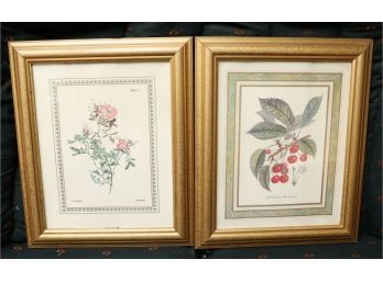 Pair Of Vintage Botanical Floral Prints - Framed And Matted
