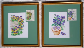 Set Of Two Framed Violet Illustrations For Botanic Interests Co Seed Packets