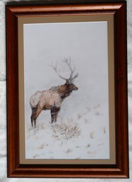 Glicee Print Of Elk In Storm 'First Snow'