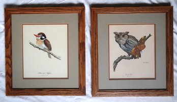Framed Lithograph Prints, Set Of 2 Birds
