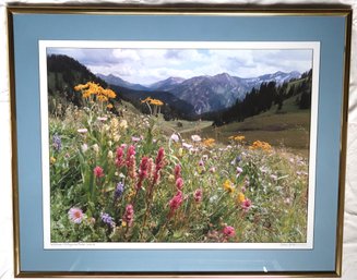 Large Framed & Matted Mountain Wildflower Photograph