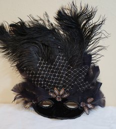 Mask With Long Black Feathers