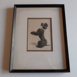 Etching Of A Poodle