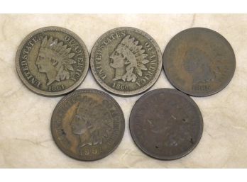 Lot Of 5 Indian Head Pennies (34)