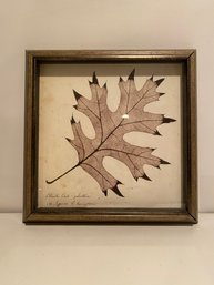 Leaf Print Framed Decor