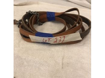 Reins And Lead Strap