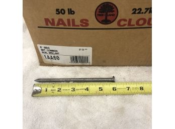 6' Common Nails