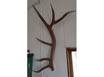 Wooden Antlers