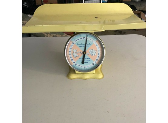 Vintage American Family Nursery Scale With Original Tag And Instructions