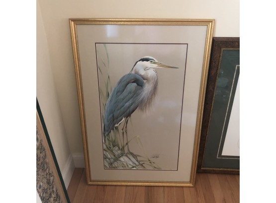 Framed Bird Print - Signed And Numbered