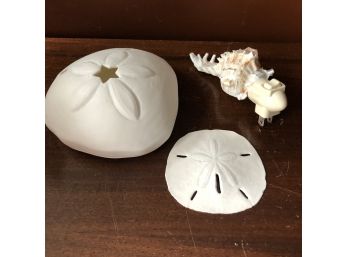 Decorative Sea Shell Items