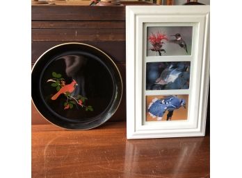 Bird Tray And Framed Print