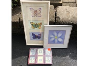 Butterfly And Flower Framed Prints With A Picture Frame