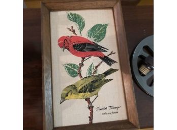 Vintage Bird Framed Print
