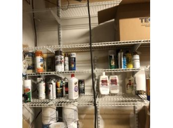 Spray Paint Shelf Lot
