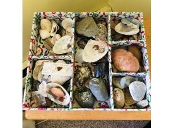 Box Of Assorted Seashells & Rocks