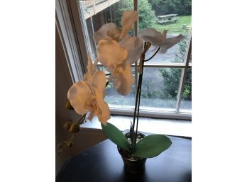 Artificial Orchid No. 2