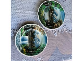 Pair Of Signed Painted Plates