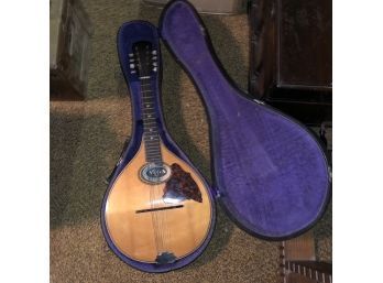 Vintage Vega Mandolin With Case