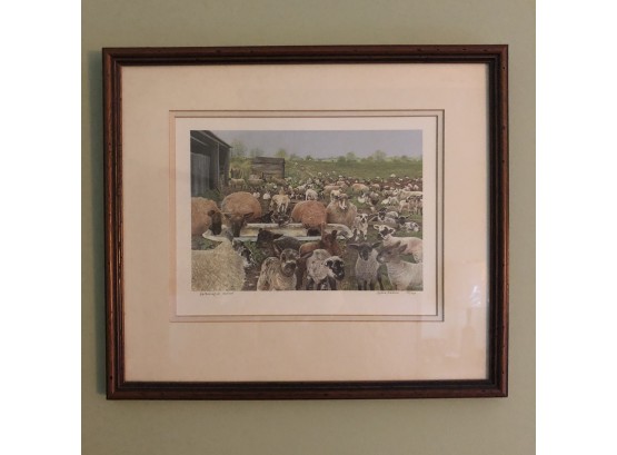 Sylvia Frattini Signed And Numbered Sheep Print