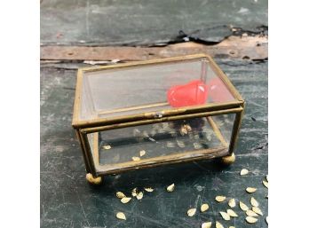 Metal And Glass Box With Red Heart