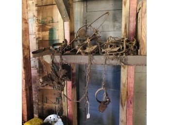 Rusty Metal Animal Traps (Barn)
