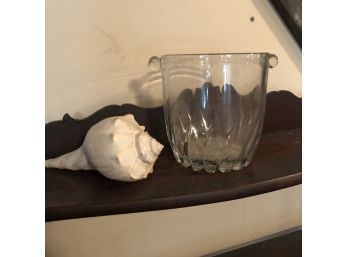 Seashell And Glass Vessel (Basement)