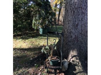 Repurposed Cast Iron Plant Stand (Outside)