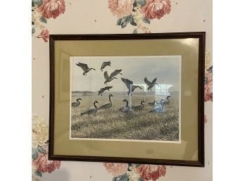 Framed Print With Geese (Upstairs)