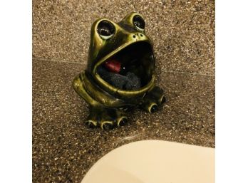 Ceramic Frog Sponge Holder
