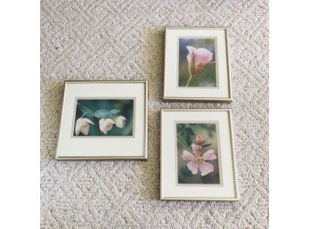 Trio Of Flower Prints