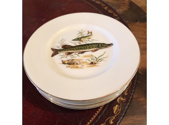 1950s Porcelain Trout Dinner Plates
