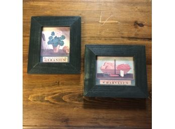 Set Of Two Small Wood Framed Prints: Flowers And Carrots