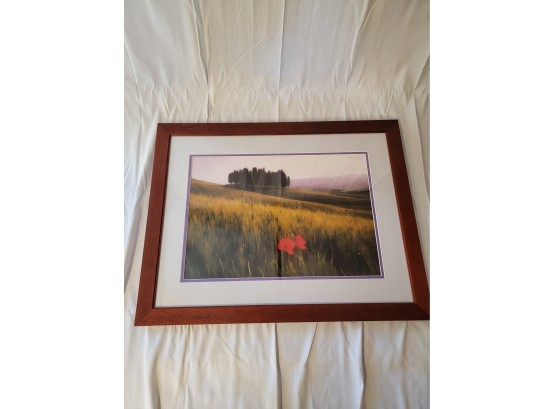 Tuscan Field Artwork - Framed By Fastframe