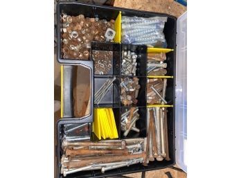 Various Bolts, Nuts And Organizer