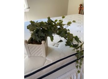Twin Size Mattress And Plant Dcor